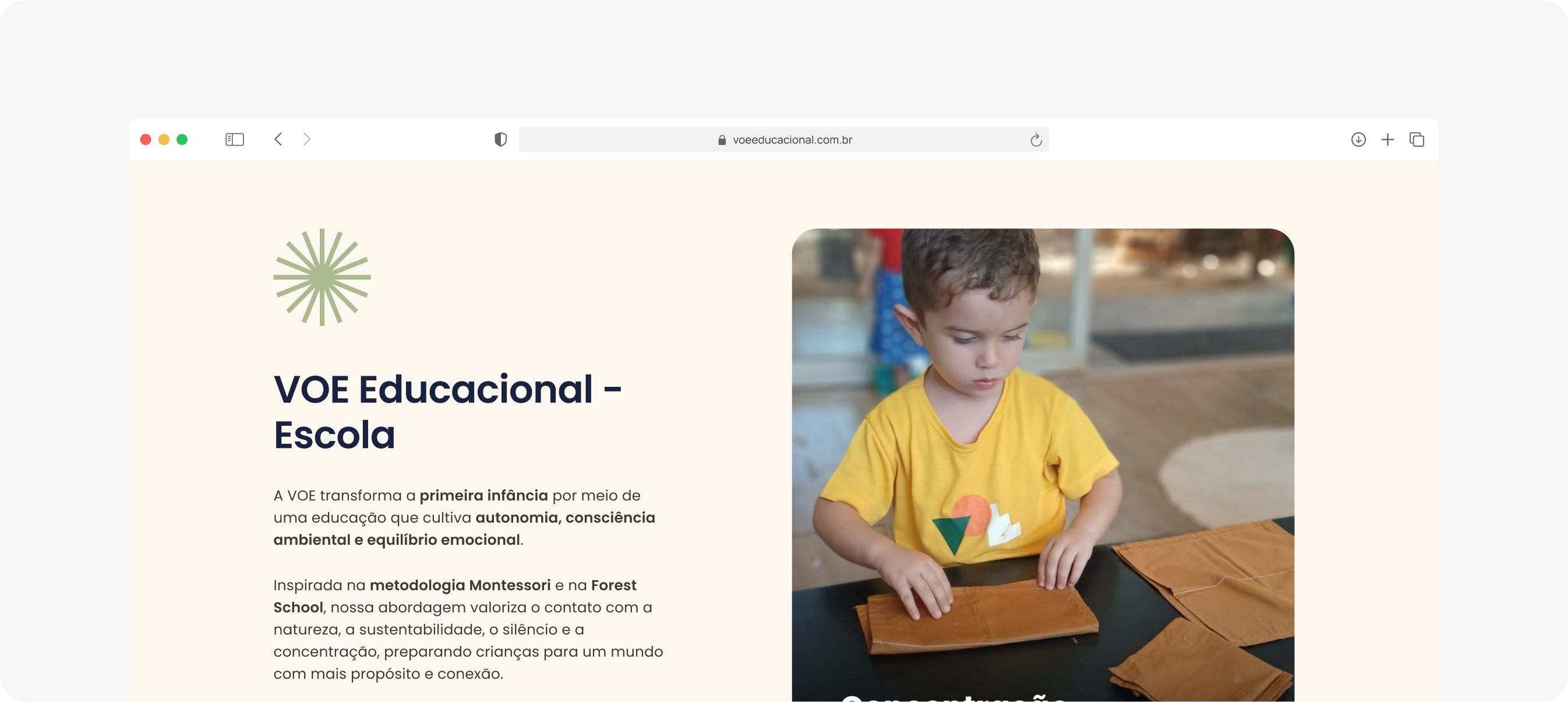 VOE Educacional Web Preview in Safari